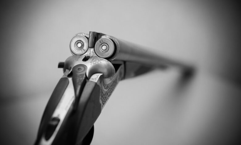 Camaron pistola: 5 secretos para cocinarlo perfectamente 1 camaron pistola