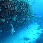 Cines bonaire: 5 películas imperdibles para este fin de semana 4 cines bonaire