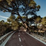Clara chia marti: 5 datos fascinantes sobre su vida y carrera 5 clara chia marti
