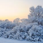Cuando juega River: 5 datos que no te puedes perder este fin de semana 5 cuando juega river