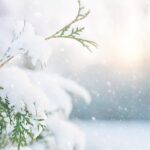 ÂżCuántos dĂas faltan para Navidad? 5 datos curiosos que debes saber 5 cuántos dĂas faltan para navidad