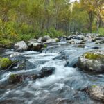 Dani flow: 5 pasos para potenciar tu creatividad en proyectos 5 dani flow