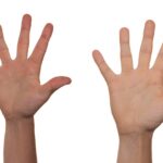 Dexter reparto: 5 claves para optimizar tu rendimiento en equipo 4 dexter reparto