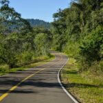 Lana roades: 5 beneficios de usarla en tu proyecto creativo 4 lana roades