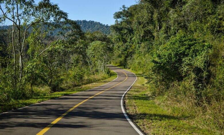 Lana roades: 5 beneficios de usarla en tu proyecto creativo 1 lana roades