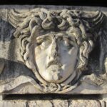 Medusa huevo frito: 5 datos fascinantes que no conocías 5 medusa huevo frito