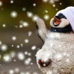memin pinguin