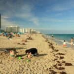 Messi miami: 5 razones para seguir su trayectoria en la MLS 2 messi miami