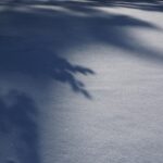 Nevera portátil: 5 razones para llevarla en tus viajes 5 nevera portatil