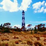 Outer banks reparto: Top 5 personajes que debes conocer 5 outer banks reparto