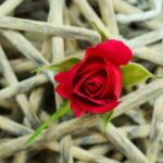 Asertividad significado 7 claves para desarrollar confianza en ti mismo 5 asertividad significado
