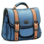bolsa sescam