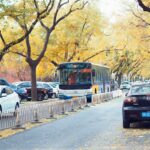Boulevard 7 secretos ocultos que debes descubrir ahora 4 boulevard