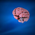¿Cuál es el límite de la genialidad? 5 coeficiente intelectual