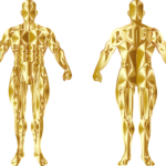 Culturismo 7 consejos efectivos para aumentar masa muscular 5 culturismo