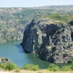 fermoselle