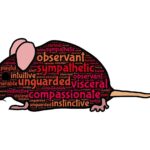 Grasa visceral: 7 errores comunes que la aumentan 5 grasa visceral