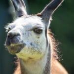 7 momentos que te harán reflexionar 4 hombre en llamas