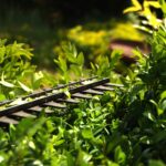 Jardinero 7 consejos para un jardín perfecto 4 jardinero