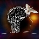 Neurología 7 Claves para entender el cerebro humano 4 neurologia