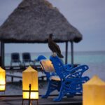 Pájaro 7 secretos fascinantes que no sabĂas sobre su mundo 4 pajaro