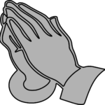 Pastor 7 consejos para criar ovejas sanas y productivas 5 pastor