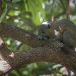 Phuket 7 secretos para descubrir la isla de ensueño 5 phuket
