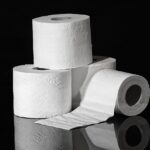 skibidi toilet