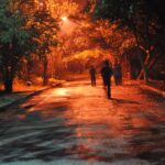 yan couto