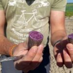 Papa morada: 7 beneficios sorprendentes que debes conocer 5 papa morada