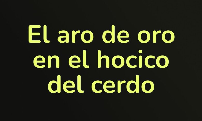 Proverbios 11:22 significado de un anillo de oro: 5 lecciones clave 1 proverbios 1122 significado de un anillo de oro en el hocico de un cerdo