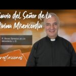 santuario del seño de la misericordia