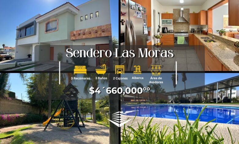 Sendero de las moras: 7 consejos para disfrutar al máximo en 2025 1 sendero de las moras