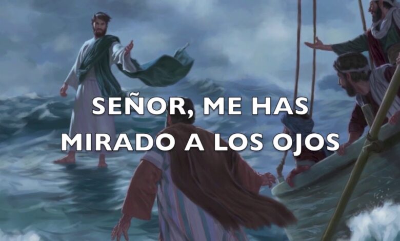 Seño me has mirado a los ojos: 5 razones para enamorarte 1 seño me has mirado a los ojos