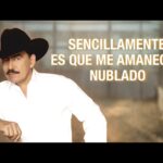 Sentimental: 7 razones para valorar tus recuerdos este 2025 4 sentimental