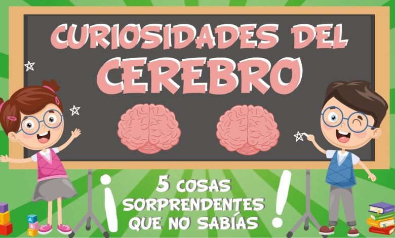 Juegos divertidos: 7 actividades creativas para niños 1 temas de interes para niños