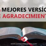 Textos bíblicos de agradecimiento: 7 versos que inspiran gratitud 5 textos biblicos de agradecimiento