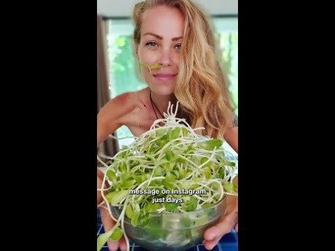 Veganismo: 7 beneficios sorprendentes que debes conocer en 2025 1 veganismo