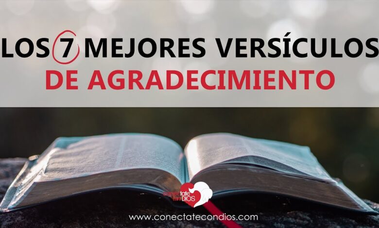 Gracias a Dios: 7 claves para una vida plena en 2025 1 versiculos de agradecimiento