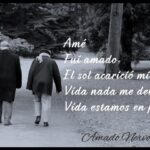 Vida nada te debo, vida estamos en paz: 7 lecciones para crecer 4 vida nada te debo vida estamos en paz