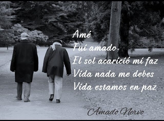 Vida nada te debo, vida estamos en paz: 7 lecciones para crecer 1 vida nada te debo vida estamos en paz
