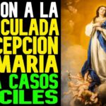 Virgen de la Inmaculada Concepción: 7 datos fascinantes que debes saber 5 virgen de la inmaculada concepcion