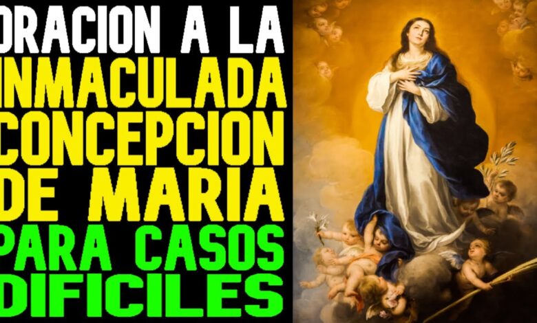 Virgen de la Inmaculada Concepción: 7 datos fascinantes que debes saber 1 virgen de la inmaculada concepcion