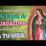virgen guadalupe